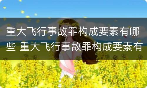 重大飞行事故罪构成要素有哪些 重大飞行事故罪构成要素有哪些