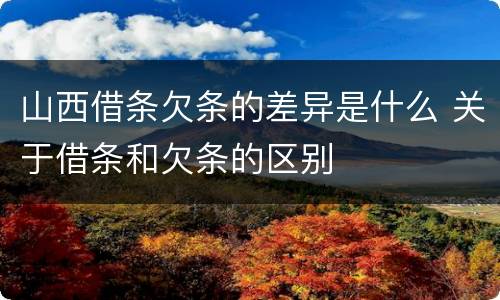 山西借条欠条的差异是什么 关于借条和欠条的区别