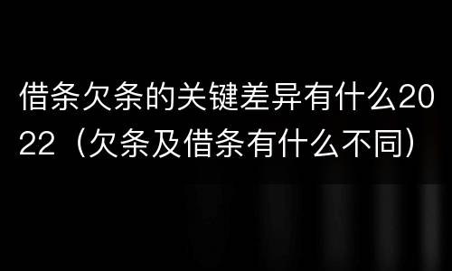 借条欠条的关键差异有什么2022（欠条及借条有什么不同）