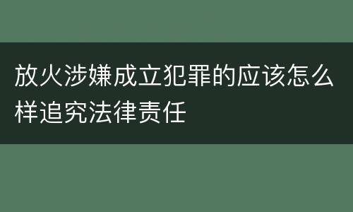 放火涉嫌成立犯罪的应该怎么样追究法律责任