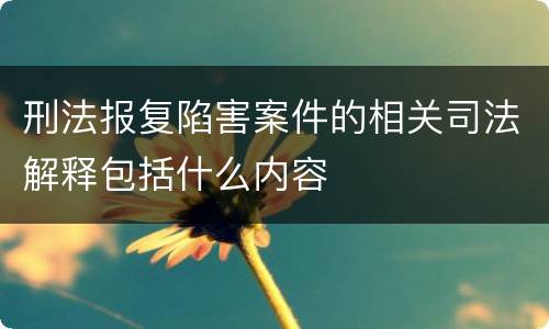 刑法报复陷害案件的相关司法解释包括什么内容