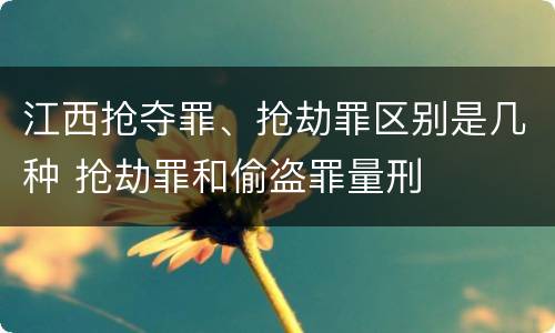 江西抢夺罪、抢劫罪区别是几种 抢劫罪和偷盗罪量刑