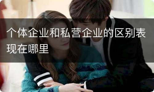 个体企业和私营企业的区别表现在哪里
