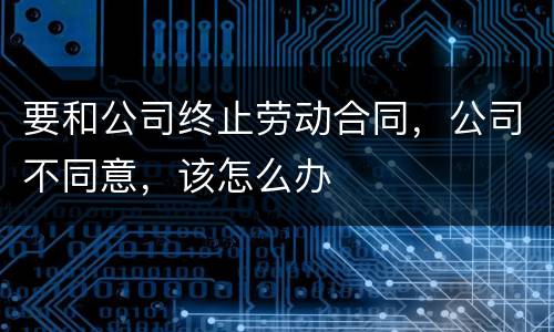 要和公司终止劳动合同，公司不同意，该怎么办