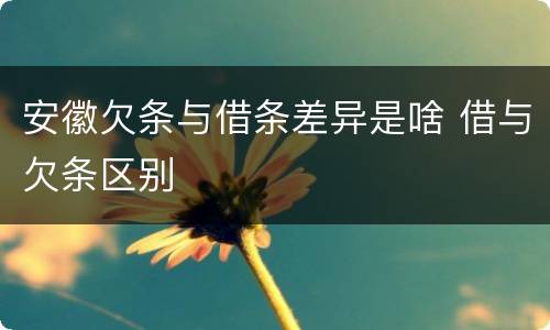 安徽欠条与借条差异是啥 借与欠条区别