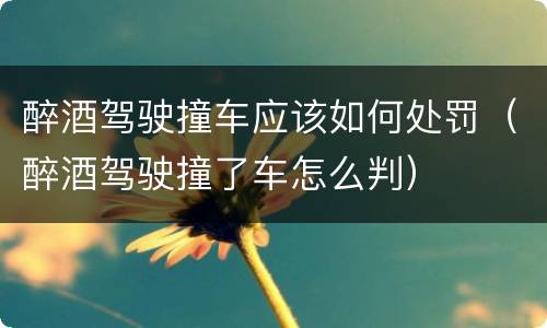 醉酒驾驶撞车应该如何处罚（醉酒驾驶撞了车怎么判）