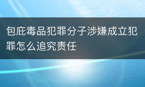 包庇毒品犯罪分子涉嫌成立犯罪怎么追究责任