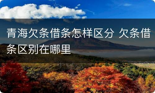 青海欠条借条怎样区分 欠条借条区别在哪里