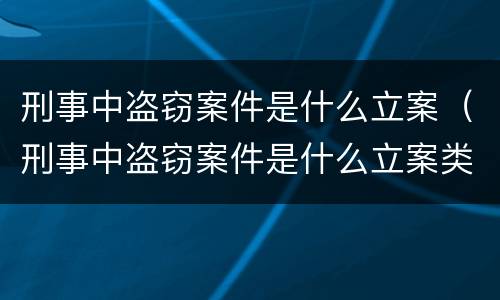 刑事中盗窃案件是什么立案（刑事中盗窃案件是什么立案类型）