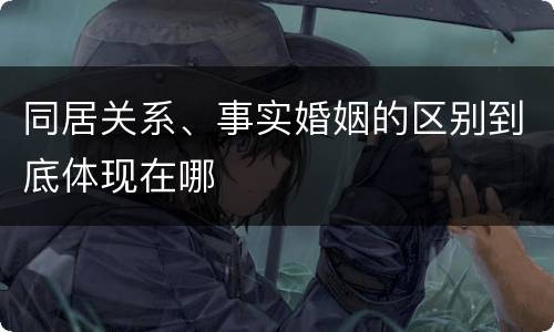 同居关系、事实婚姻的区别到底体现在哪