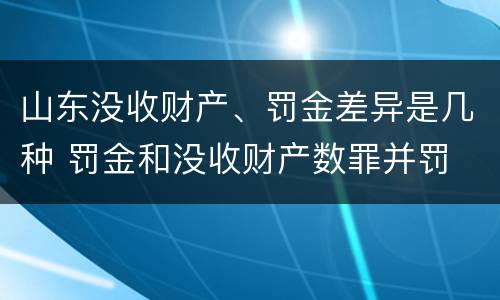 山东没收财产、罚金差异是几种 罚金和没收财产数罪并罚