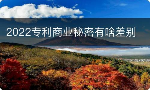 2022专利商业秘密有啥差别