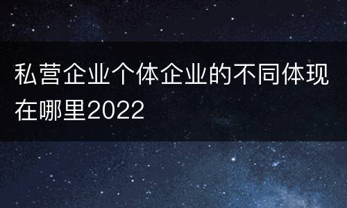 私营企业个体企业的不同体现在哪里2022