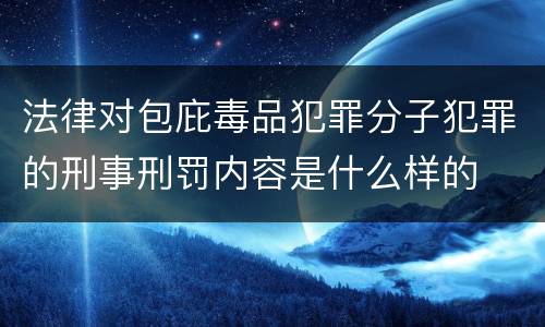 法律对包庇毒品犯罪分子犯罪的刑事刑罚内容是什么样的
