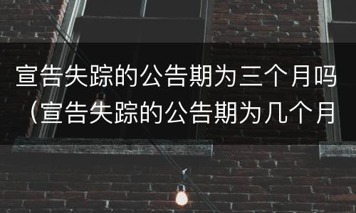 宣告失踪的公告期为三个月吗（宣告失踪的公告期为几个月）