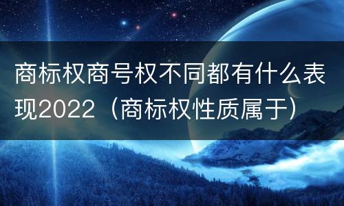商标权商号权不同都有什么表现2022（商标权性质属于）