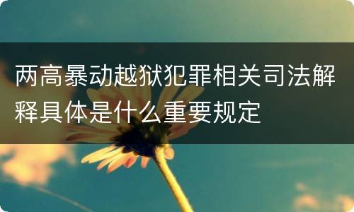 两高暴动越狱犯罪相关司法解释具体是什么重要规定
