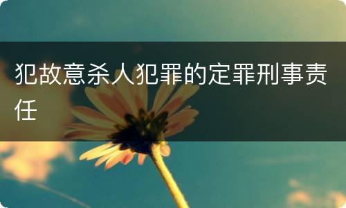 犯故意杀人犯罪的定罪刑事责任