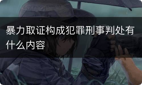 暴力取证构成犯罪刑事判处有什么内容