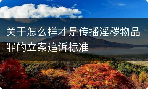 关于怎么样才是传播淫秽物品罪的立案追诉标准