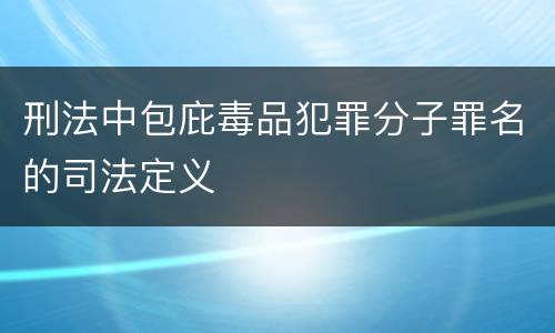 刑法中包庇毒品犯罪分子罪名的司法定义