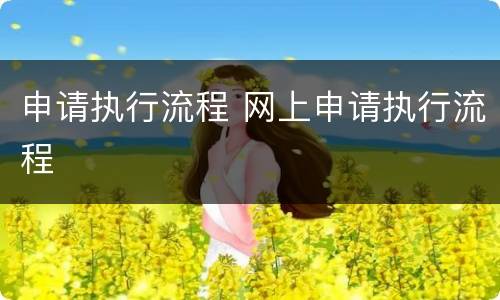 申请执行流程 网上申请执行流程