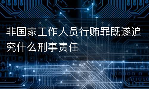 非国家工作人员行贿罪既遂追究什么刑事责任