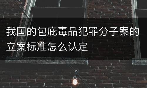 我国的包庇毒品犯罪分子案的立案标准怎么认定