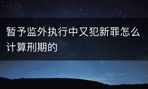 暂予监外执行中又犯新罪怎么计算刑期的