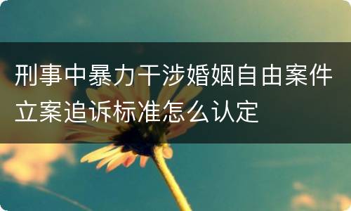 刑事中暴力干涉婚姻自由案件立案追诉标准怎么认定
