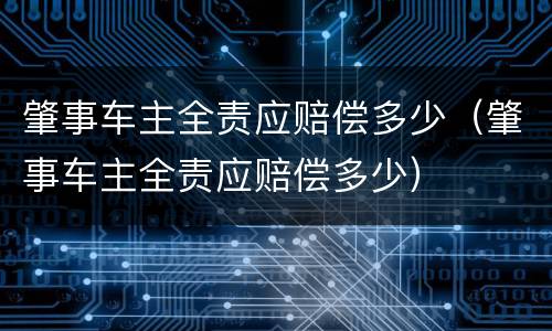 肇事车主全责应赔偿多少（肇事车主全责应赔偿多少）