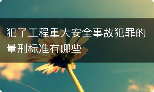 犯了工程重大安全事故犯罪的量刑标准有哪些