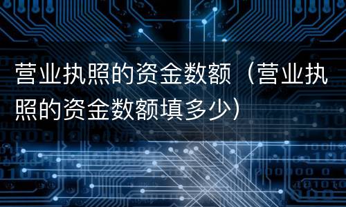 营业执照的资金数额（营业执照的资金数额填多少）