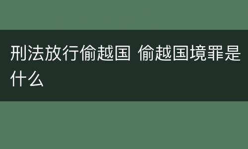 刑法放行偷越国 偷越国境罪是什么
