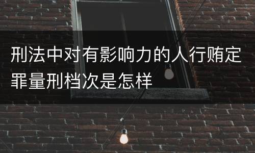刑法中对有影响力的人行贿定罪量刑档次是怎样