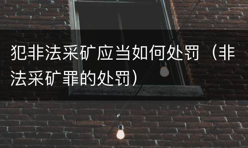 犯非法采矿应当如何处罚(非法采矿罪的处罚)