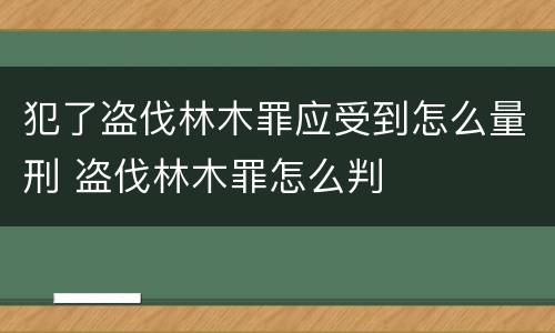 犯了盗伐林木罪应受到怎么量刑 盗伐林木罪怎么判
