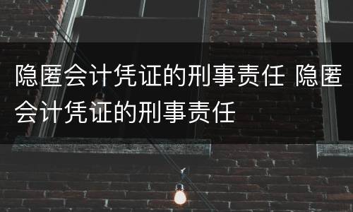 隐匿会计凭证的刑事责任 隐匿会计凭证的刑事责任