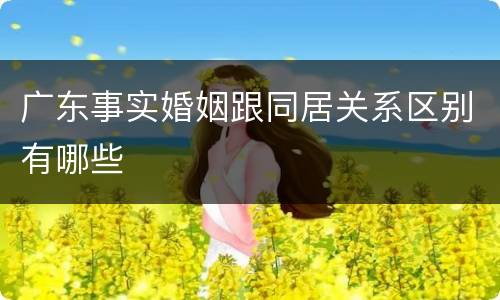 广东事实婚姻跟同居关系区别有哪些