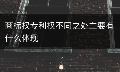商标权专利权不同之处主要有什么体现