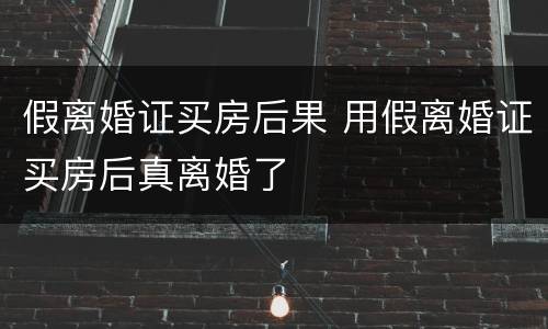 假离婚证买房后果 用假离婚证买房后真离婚了