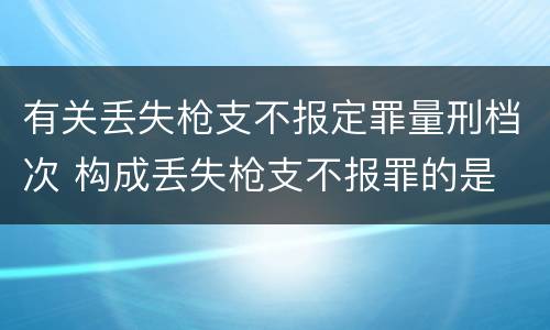 有关丢失枪支不报定罪量刑档次 构成丢失枪支不报罪的是