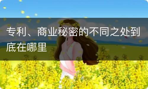 专利、商业秘密的不同之处到底在哪里