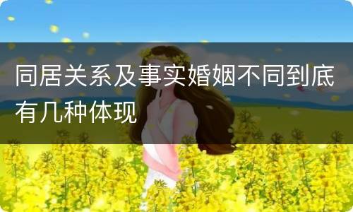同居关系及事实婚姻不同到底有几种体现