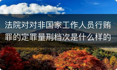 法院对对非国家工作人员行贿罪的定罪量刑档次是什么样的