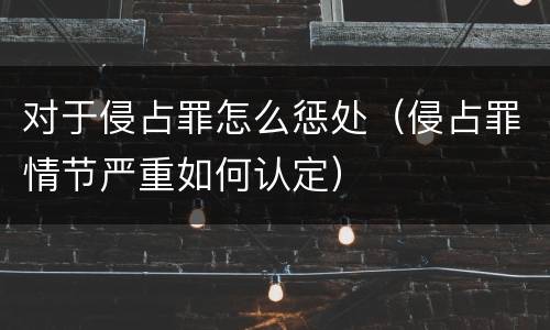 对于侵占罪怎么惩处（侵占罪情节严重如何认定）