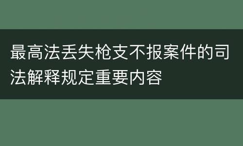 最高法丢失枪支不报案件的司法解释规定重要内容