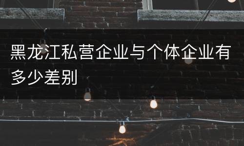 黑龙江私营企业与个体企业有多少差别