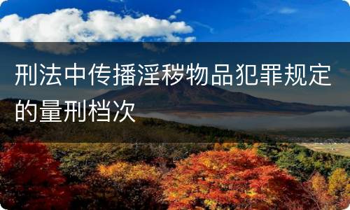 刑法中传播淫秽物品犯罪规定的量刑档次