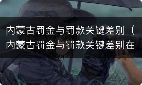 内蒙古罚金与罚款关键差别（内蒙古罚金与罚款关键差别在哪）